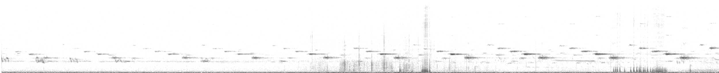 Psophode carillonneur - ML611383249