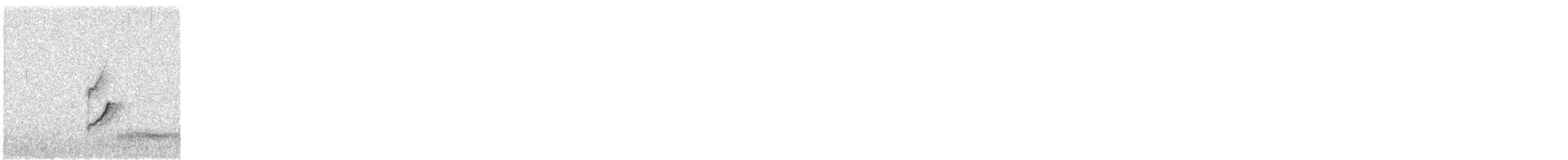 Common Chiffchaff - ML611388557