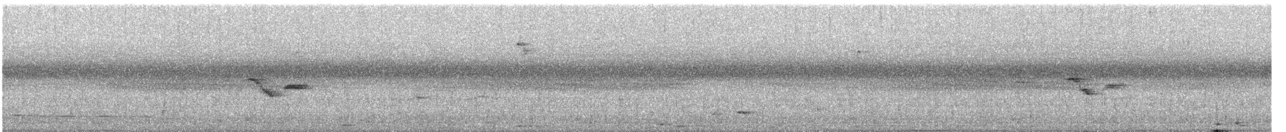 Black-chinned Babbler - ML611389391