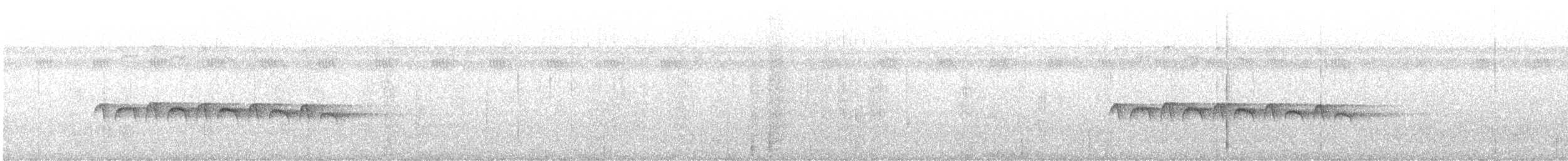 Weißband-Ameisenvogel - ML611395263