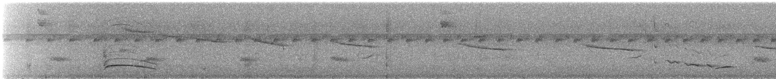 Troglodyte siffleur - ML611397985