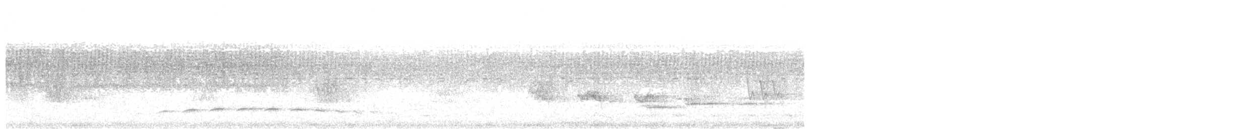 Fleckenbrust-Ameisenvogel - ML611398159