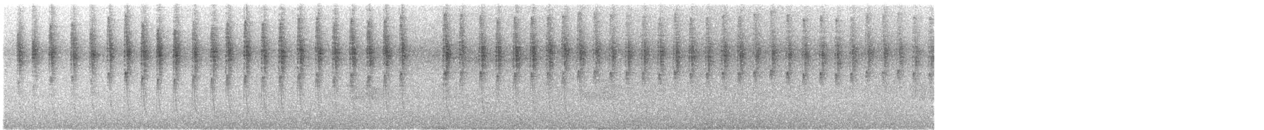 Ermite tacheté - ML611398387