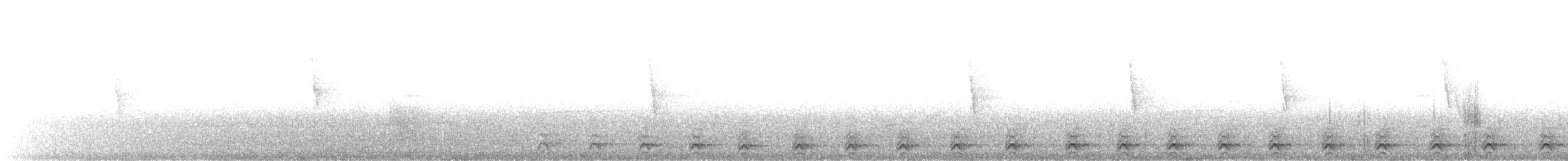 Slaty-tailed Trogon - ML611398615