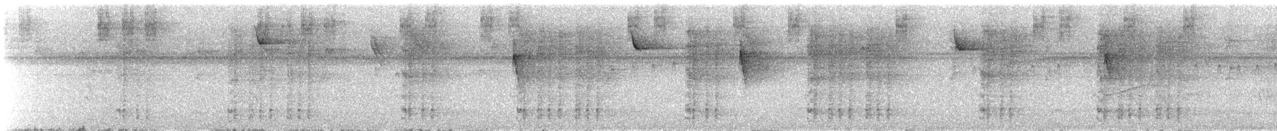 White-headed Wren - ML611399753