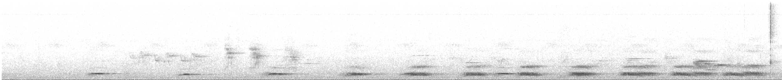 Schalow's Turaco - ML611401390