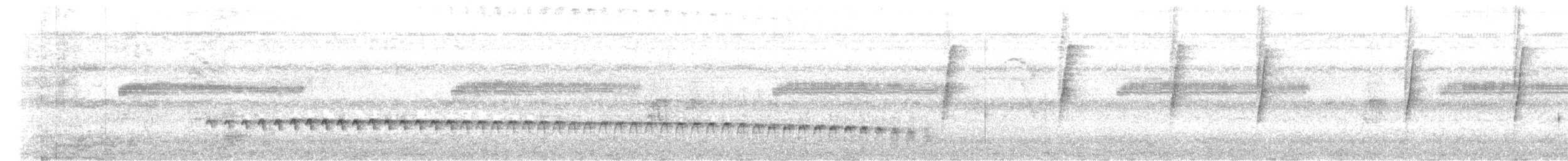 Weißstirn-Ameisenschnäpper - ML611408461