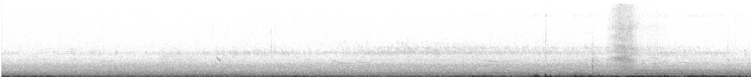 Calidris sp. - ML611419604