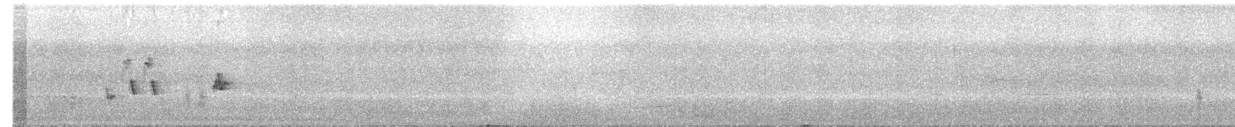 Australian Reed Warbler - ML611419901