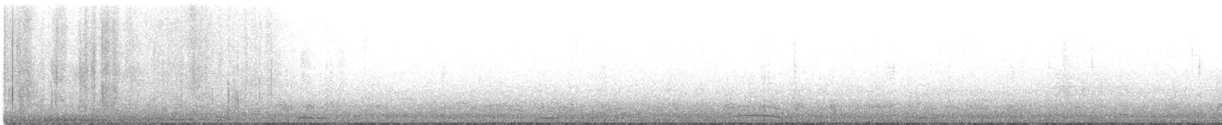 Bernache cravant (nigricans) - ML611419956
