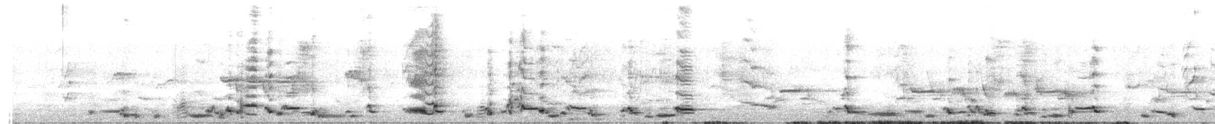 Avustralya Saksağanı (telonocua/tyrannica) - ML611422434