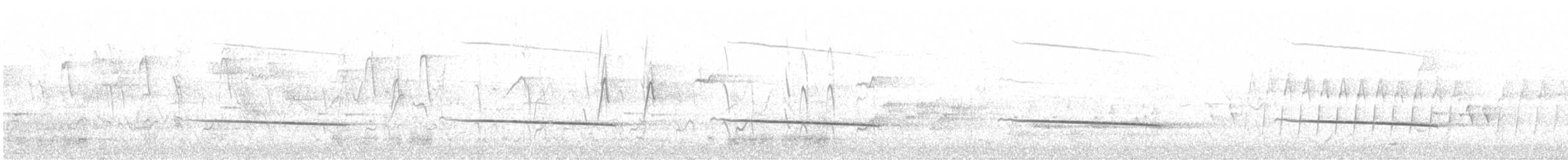 Black-eared Cuckoo - ML611425897