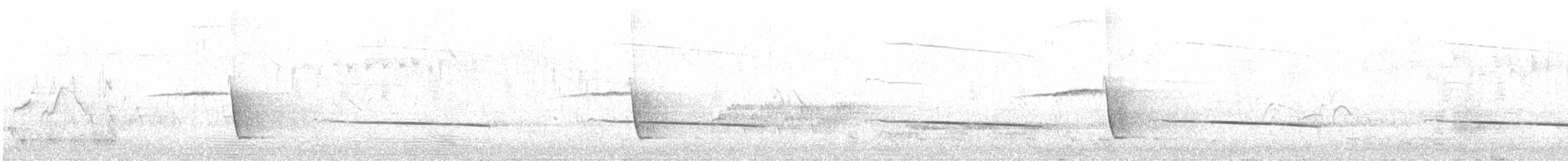 Black-eared Cuckoo - ML611425898