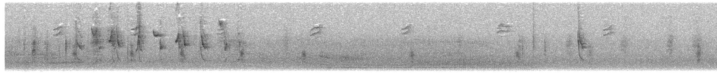 Colibri trompeur - ML611430004