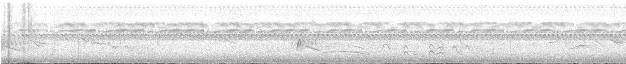 Moucherolle cendré - ML611430813