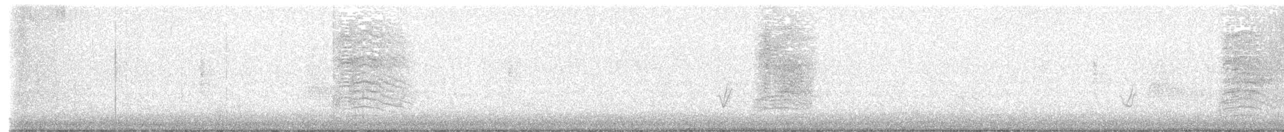 Пересмішник сірий - ML611435185