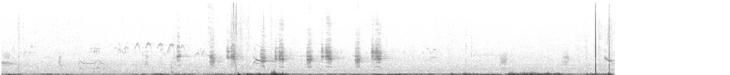 rákosník hlučnohlasý - ML611435372