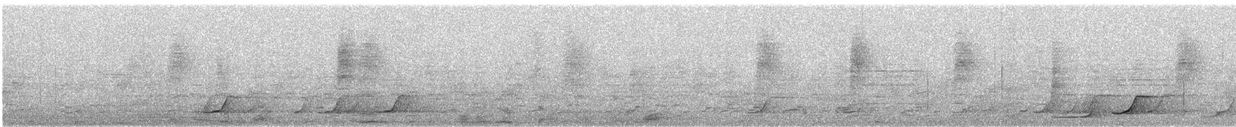Pale-browed Tinamou - ML611442243