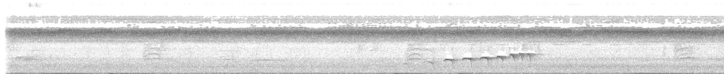 Nacktstirn-Ameisenvogel - ML611445471