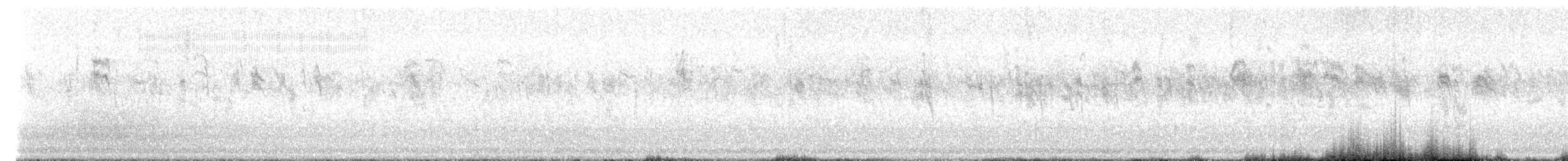 Sumpfschwalbe - ML611448890