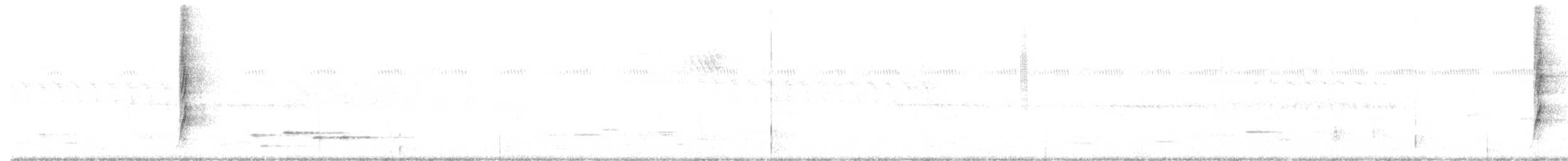 Méliphage carillonneur - ML611456233
