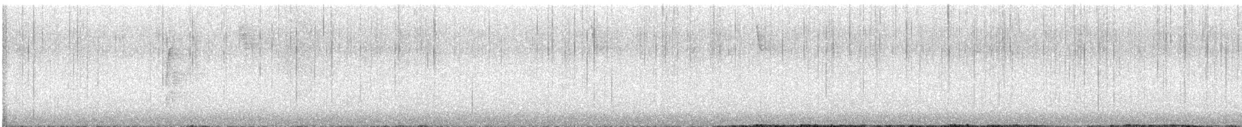 Strickland's Woodpecker - ML611460180