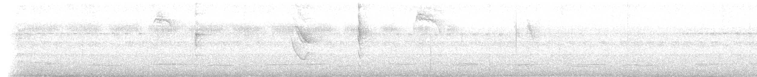 Pipromorphe à tête grise - ML611461930
