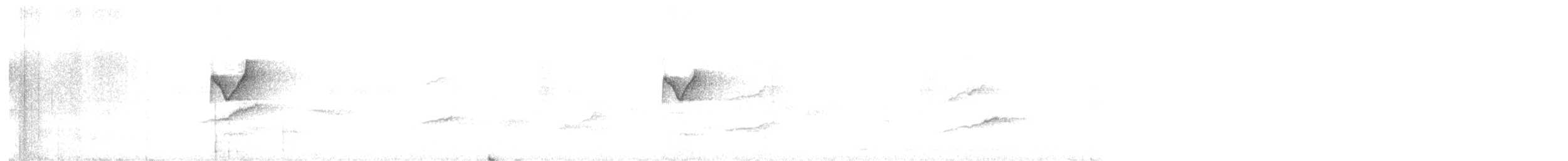 Горобцеподібні sp. (Old World warbler sp.) - ML611463758