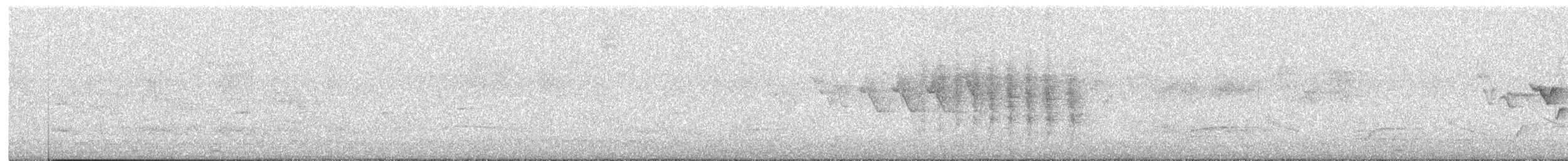 Slate-throated Redstart - ML611465336
