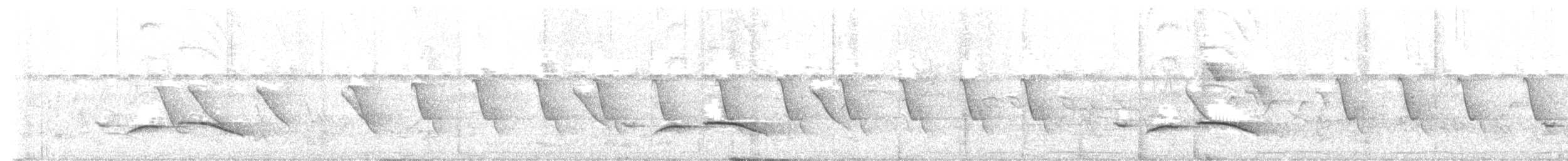 Пятнистогрудая тимелия-говорушка - ML611465359