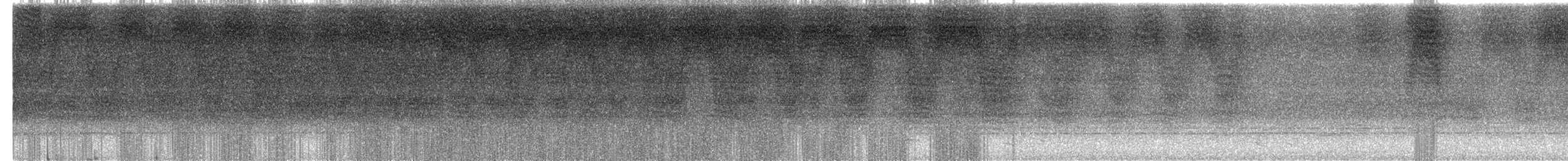 Манакін арарипський - ML611465562