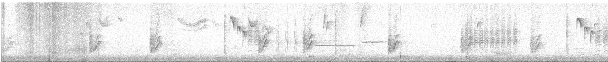 Bewick's Wren - ML611467967