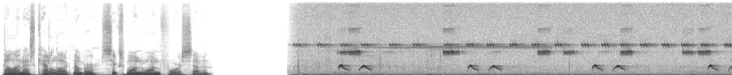 fregnenattravn - ML61147