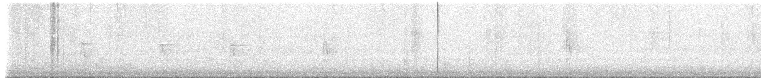 indianerspett (villosus gr.) - ML611470910