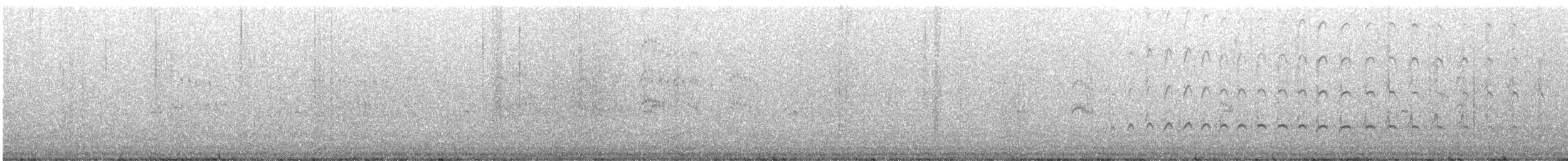 Whimbrel (Hudsonian) - ML611471260