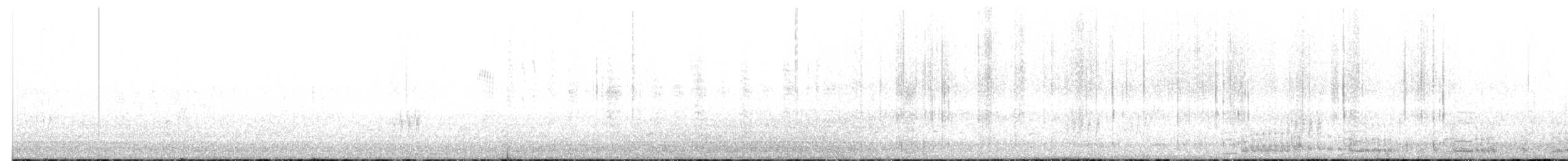 Fischadler (carolinensis) - ML611474333