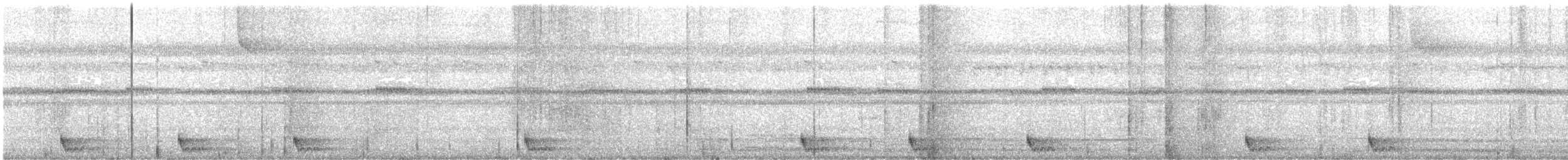 Large-tailed Nightjar - ML611478064