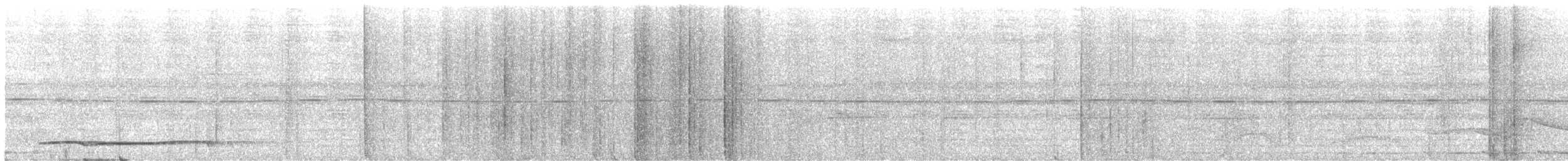 Суматранская воронья кукушка - ML611485761