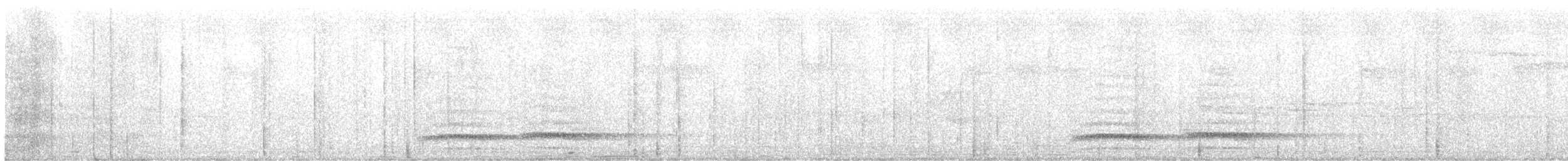 Бронзовохвостый павлиний фазан - ML611486263
