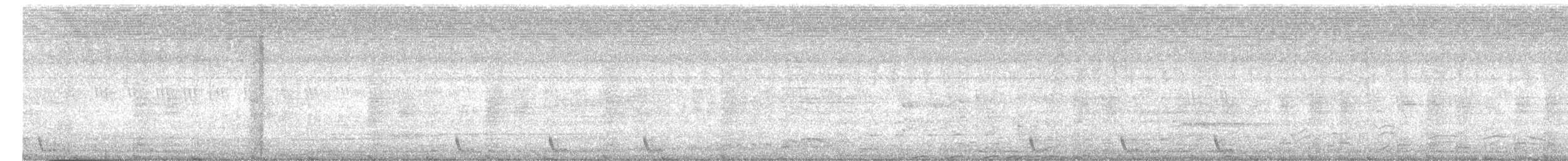 Large-tailed Nightjar - ML611489635