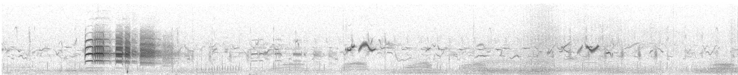 hvitstrupefrankolin - ML611489972