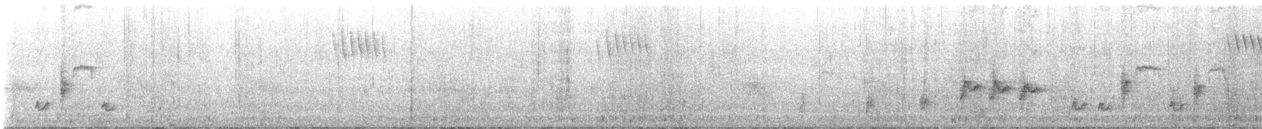Australian Reed Warbler - ML611490055