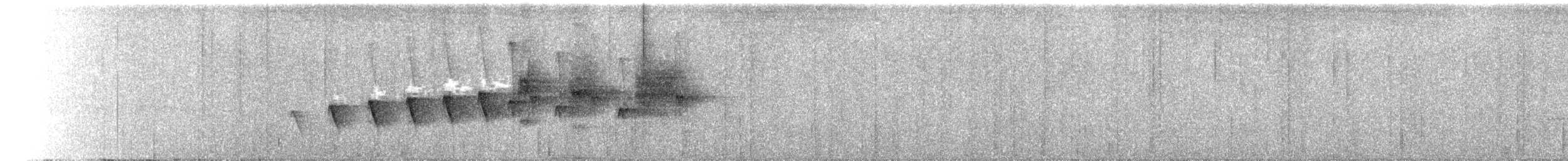 Uzun Kuyruklu Karıncakuşu - ML611493996