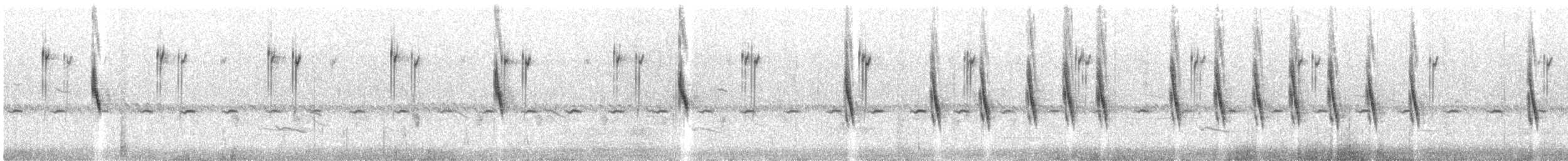 Long-tailed Widowbird - ML611494839