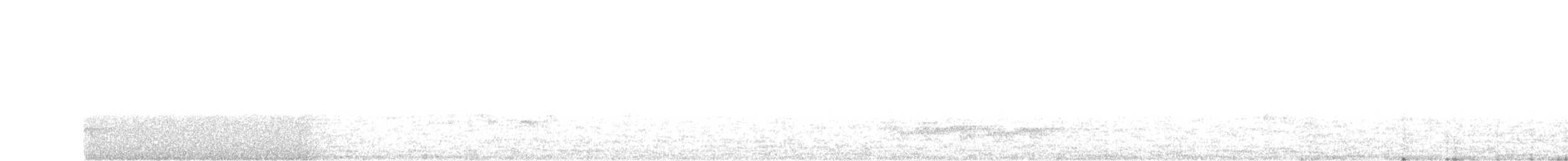 Белогорлая питтовая муравьеловка - ML611498364