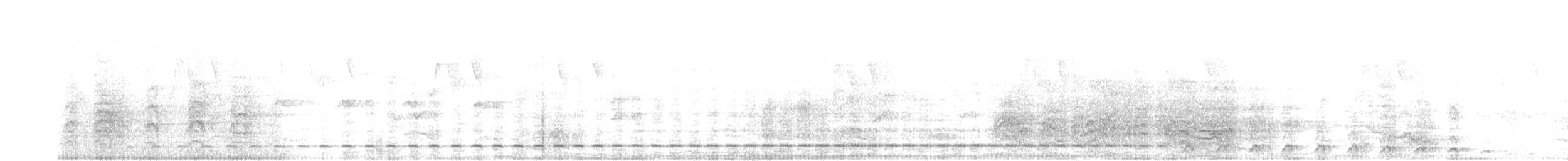 Streifenbrust-Ameisendrossel - ML611503125
