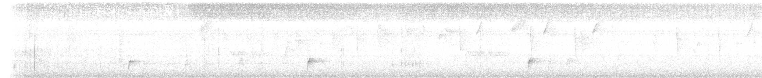 Дрізд-короткодзьоб Cвенсона - ML611506180