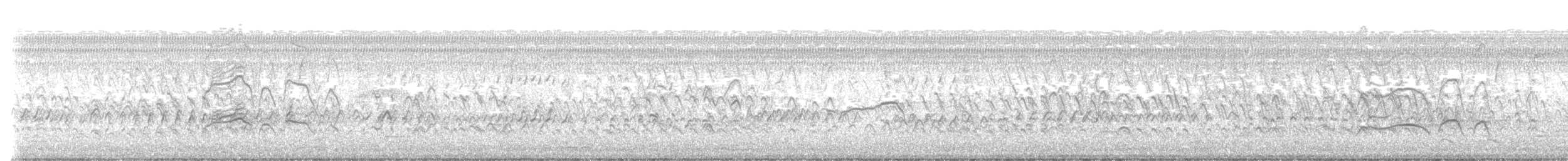 Красноклювая древесная утка - ML611507088
