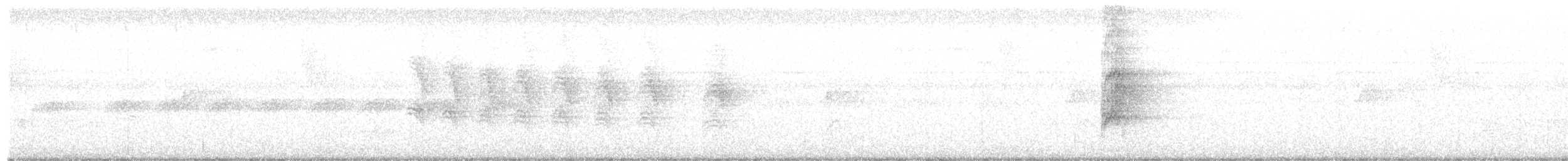 Пласкодзьоб західний - ML611507570