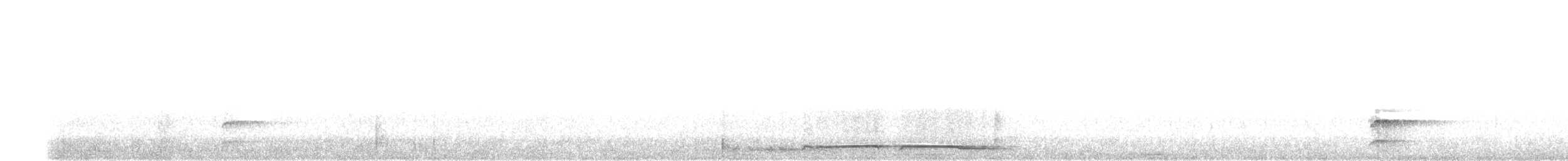 Краснобрюхая питта (inspeculata) - ML611510481
